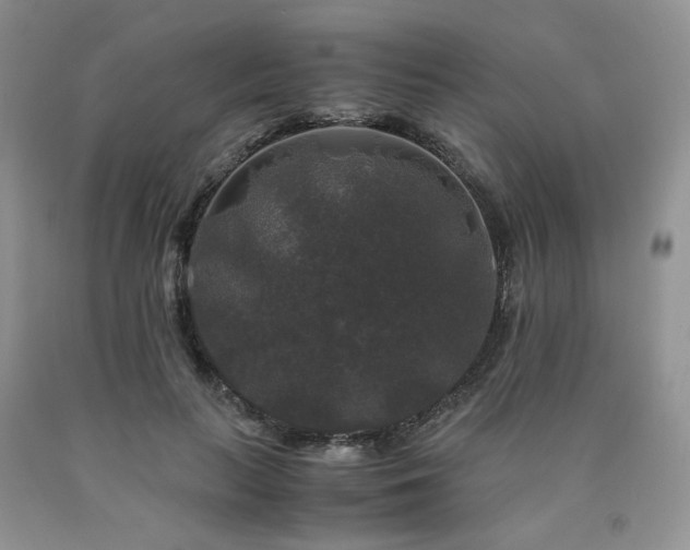 X0000090760647200707201504