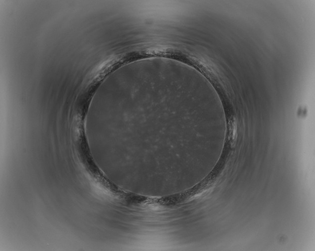 X0000090760648200707201504