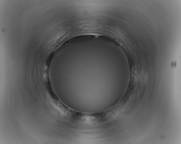 X0000090760650200707201504