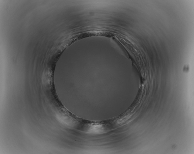 X0000090760651200707201504