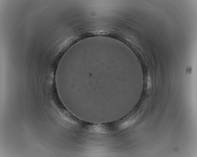 X0000090760652200707201504