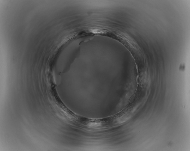 X0000090760653200707201504