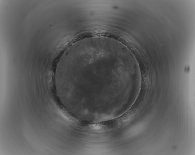 X0000090760654200707201504