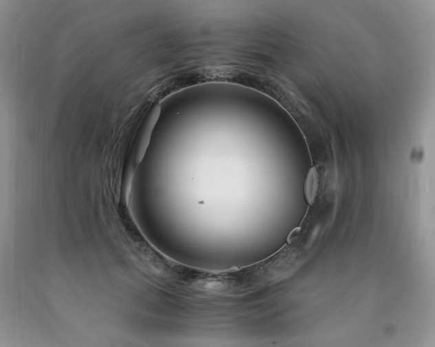 X0000090760655200707201504