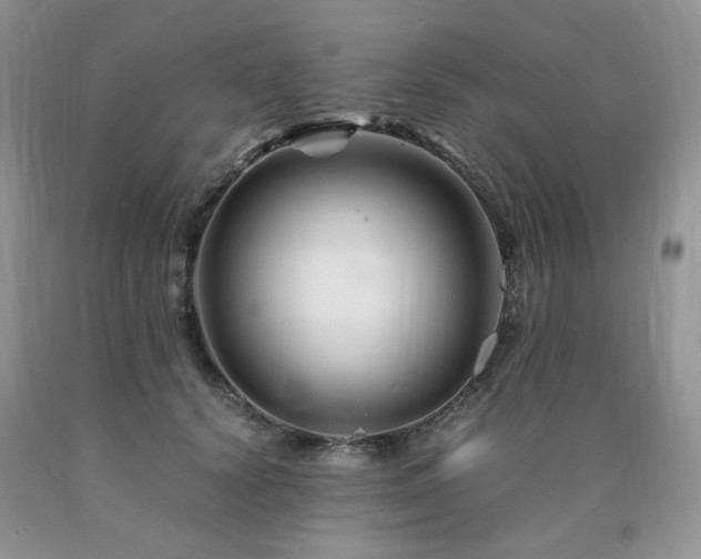 X0000090760656200707201504