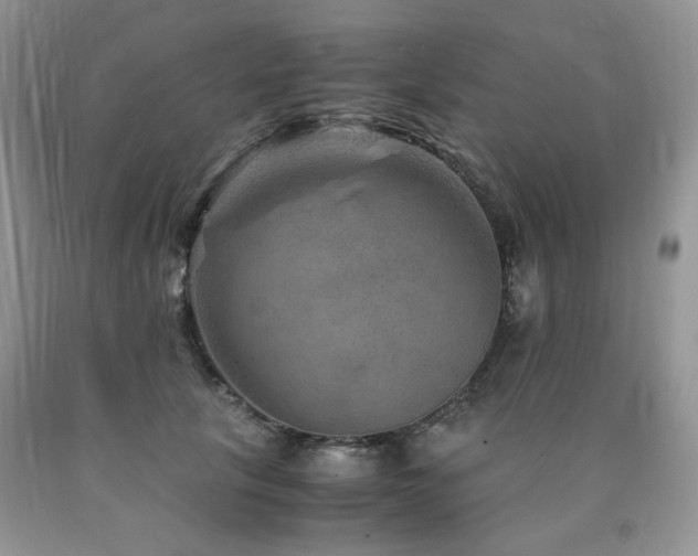 X0000090760657200707201504