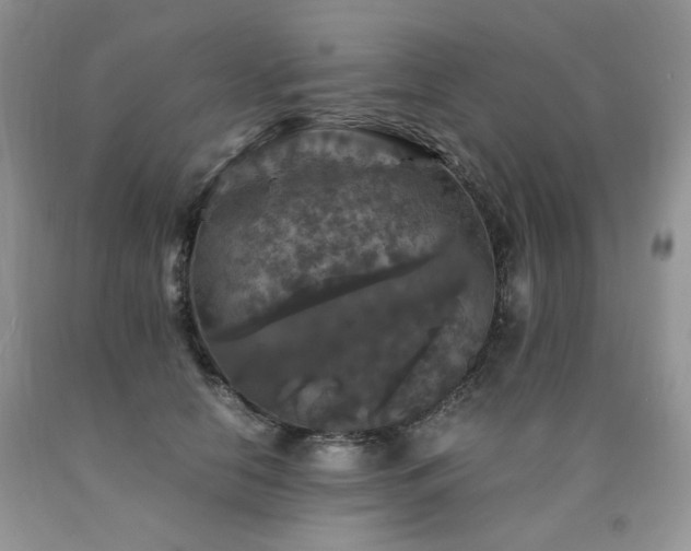 X0000090760658200707201504