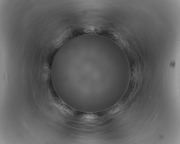 X0000090760659200707201504