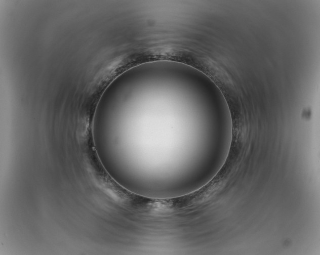 X0000090760660200707201504