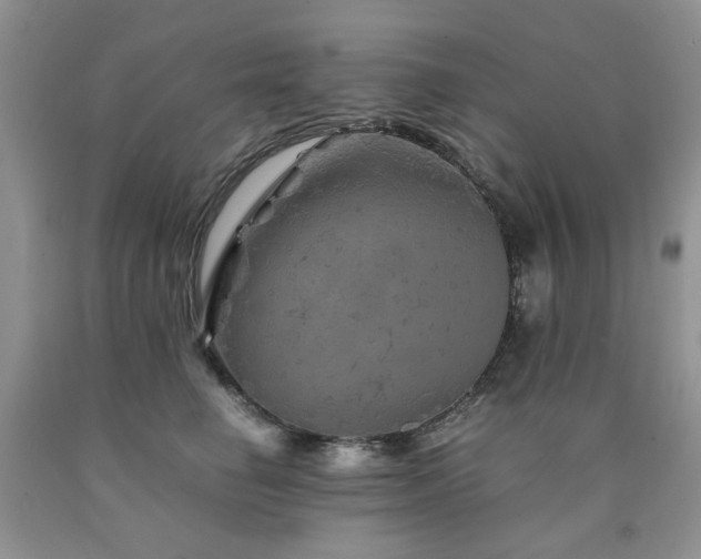 X0000090760662200707201504