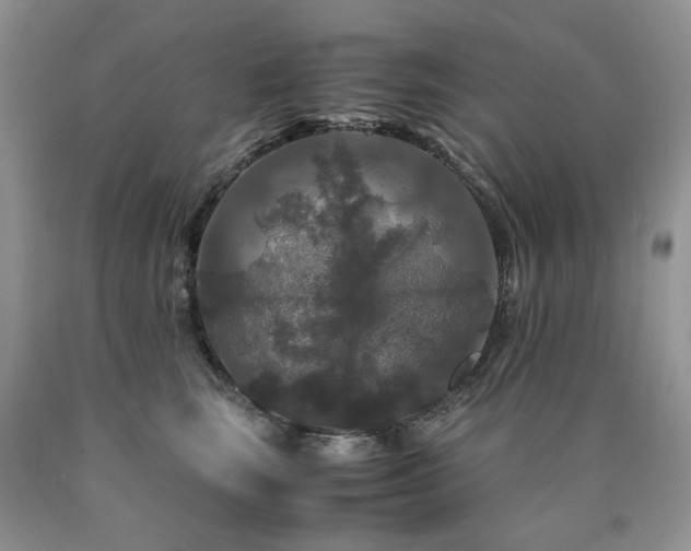 X0000090760663200707201504