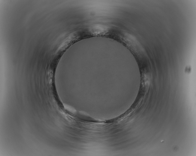 X0000090760664200707201504