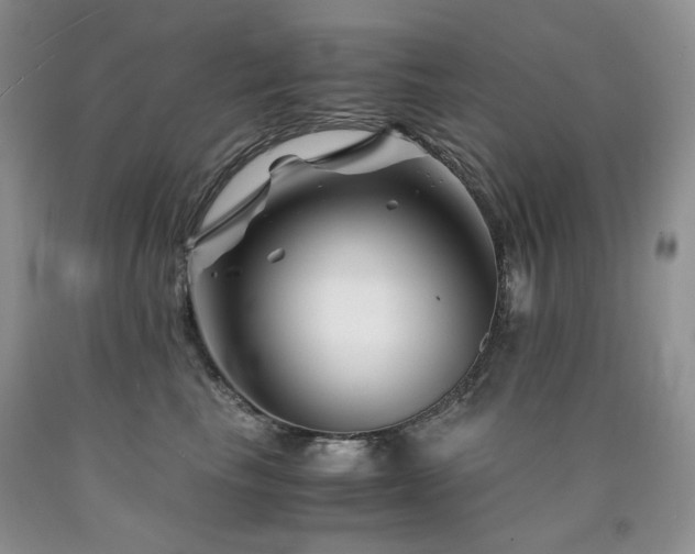 X0000090760665200707201504