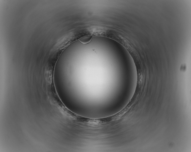 X0000090760666200707201504