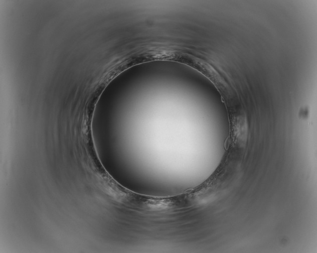 X0000090760667200707201504