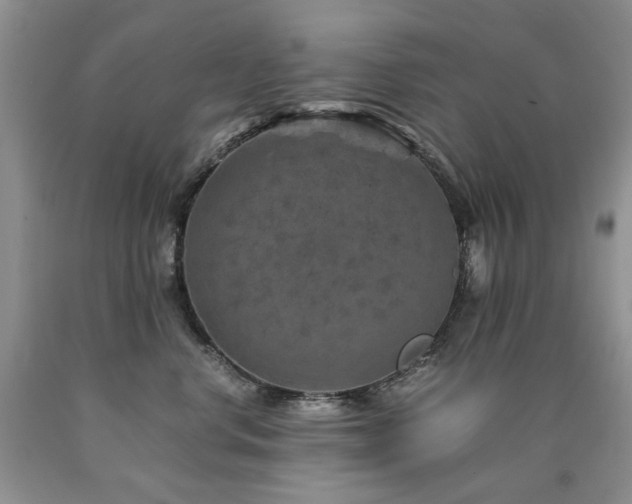 X0000090760668200707201504