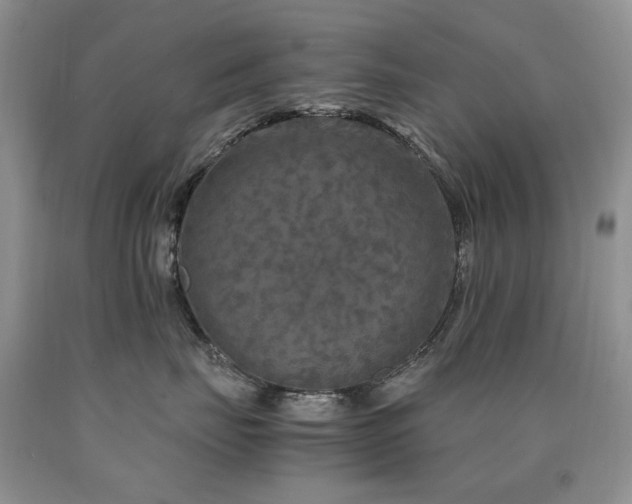 X0000090760671200707201504