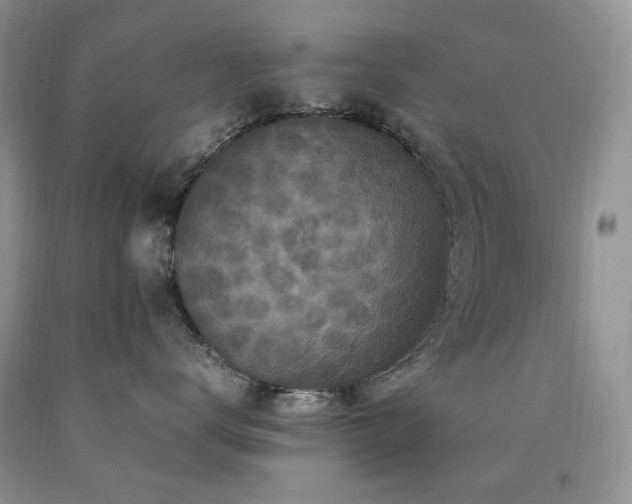 X0000090760672200707201504