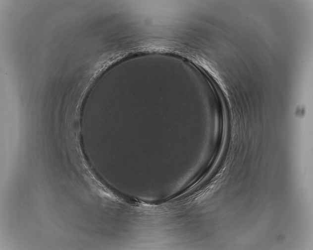 X0000090760673200707201504