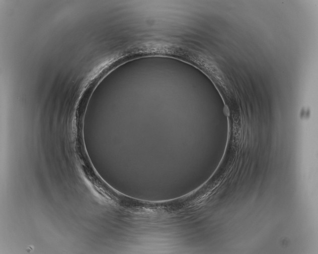 X0000090760674200707201504