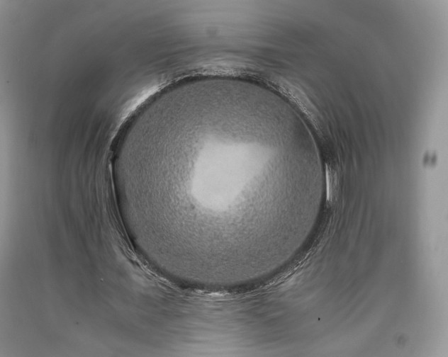 X0000090760675200707201504