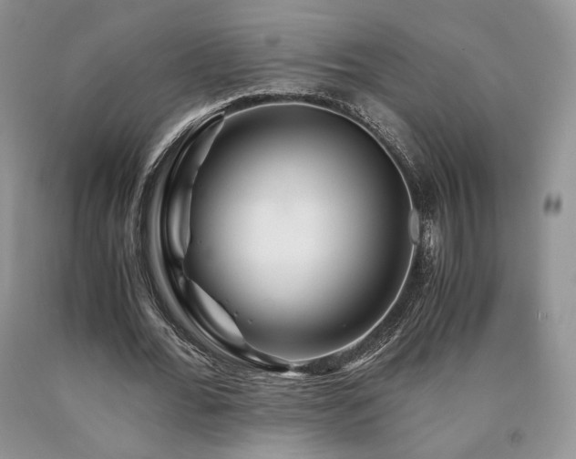 X0000090760676200707201504