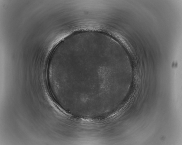 X0000090760677200707201504