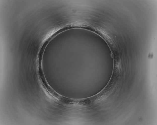 X0000090760678200707201504