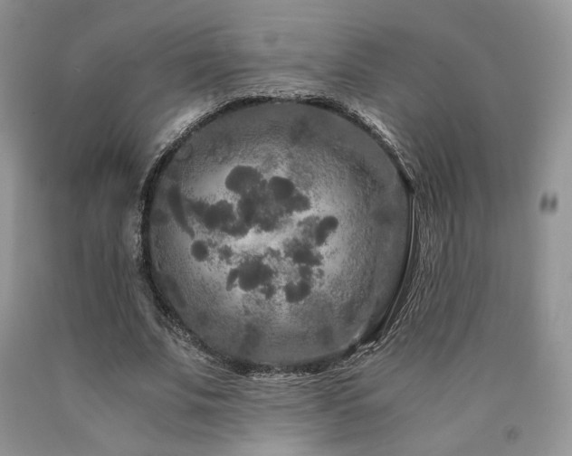 X0000090760679200707201504