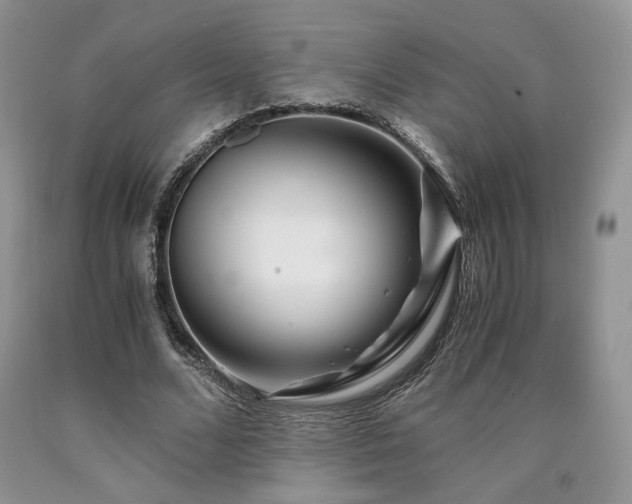 X0000090760680200707201504