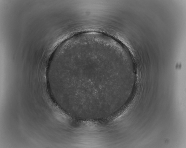 X0000090760681200707201504