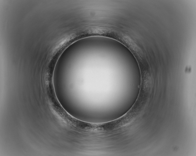 X0000090760683200707201504