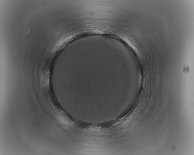 X0000090760685200707201504