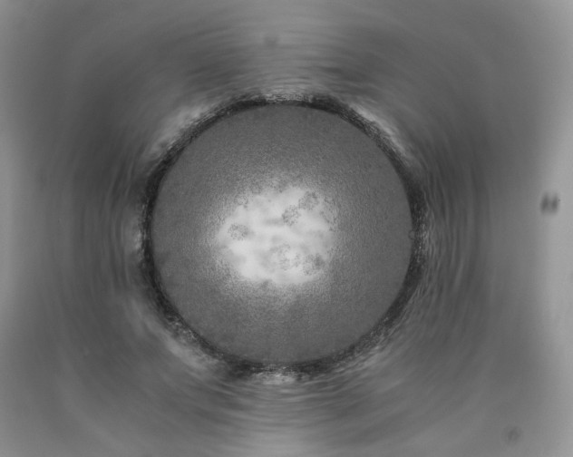 X0000090760687200707201504