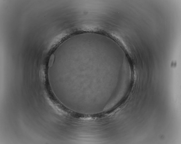 X0000090760688200707201504