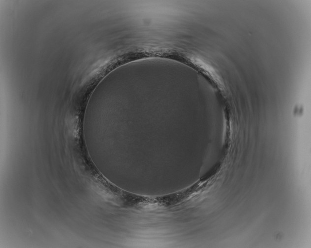 X0000090760689200707201504