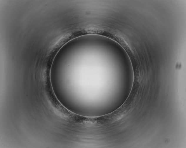 X0000090760690200707201504