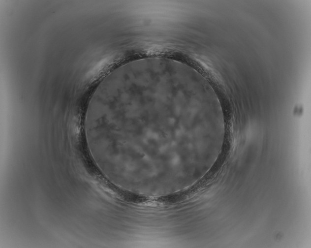 X0000090760691200707201504