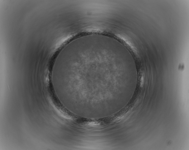 X0000090760692200707201504