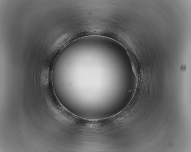 X0000090760694200707201503