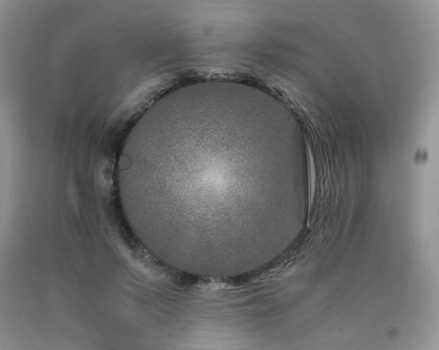 X0000090760695200707201503