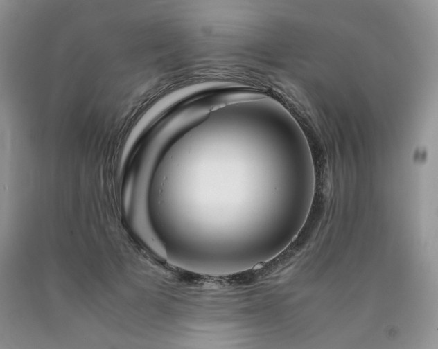 X0000090760697200707201503