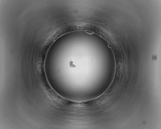 X0000090760698200707201503