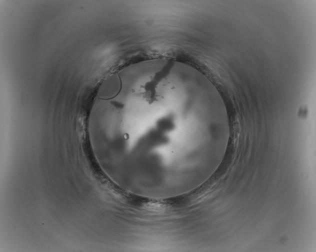 X0000090760699200707201503