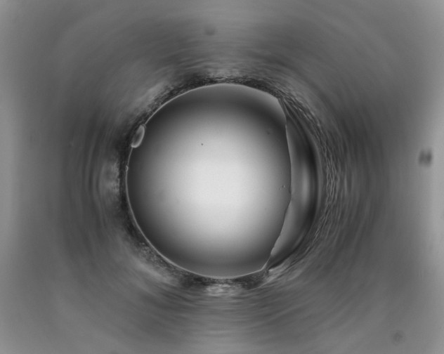 X0000090760700200707201503