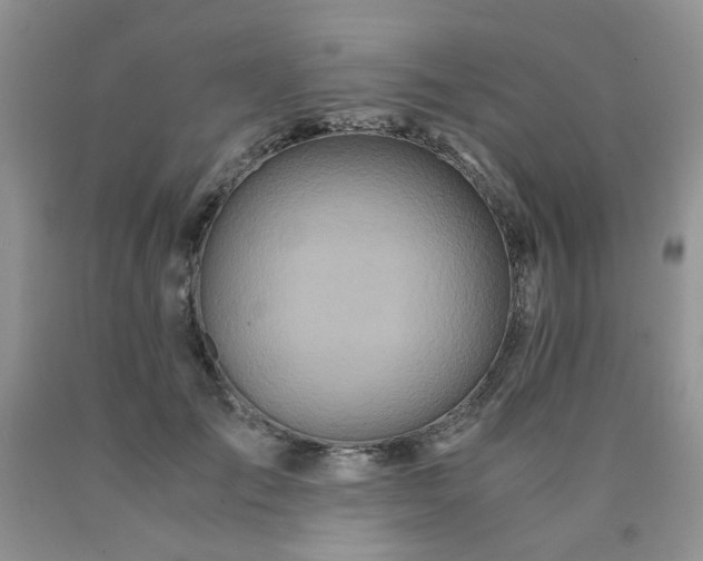 X0000090760701200707201503