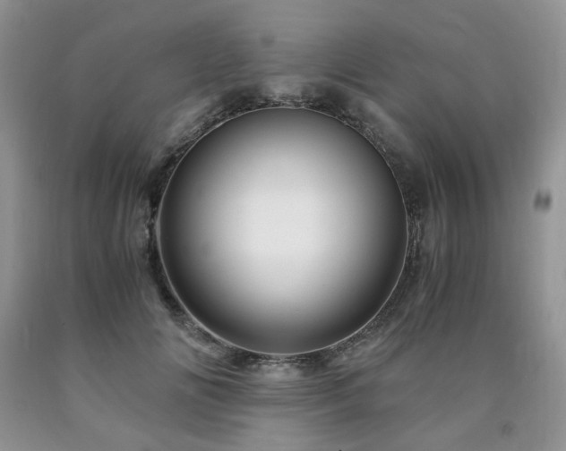 X0000090760702200707201503