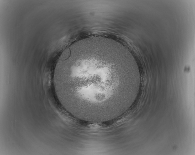 X0000090760703200707201503