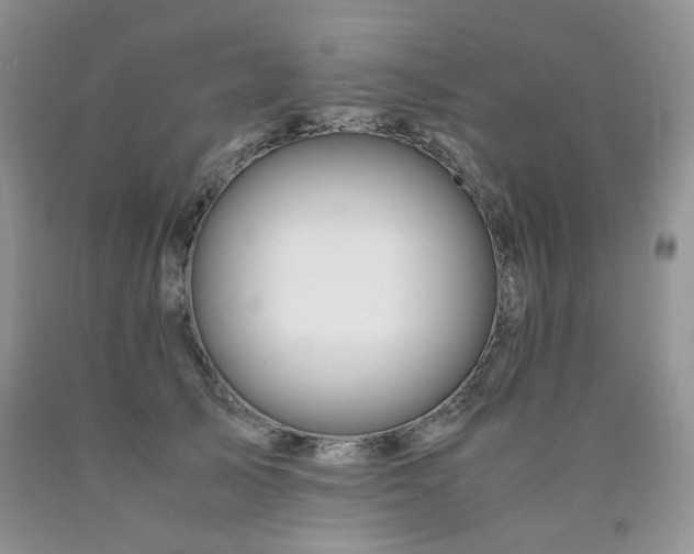 X0000090760705200707201503