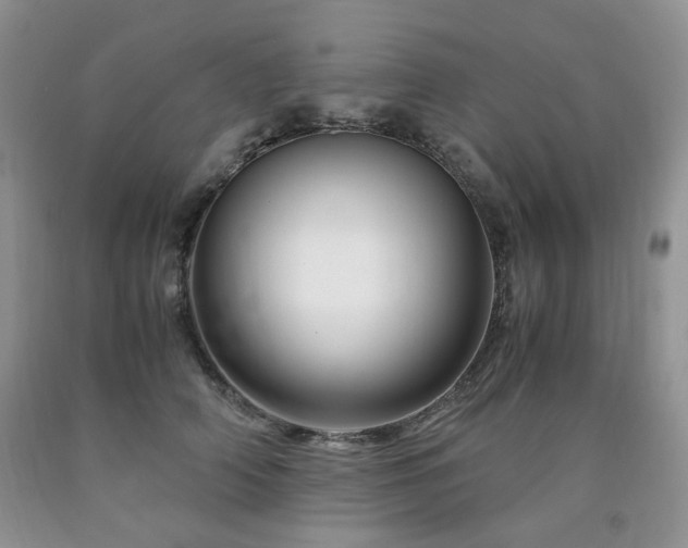 X0000090760706200707201503